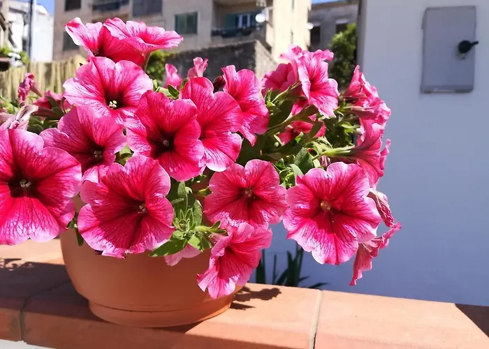 La Casetta 切特拉罗